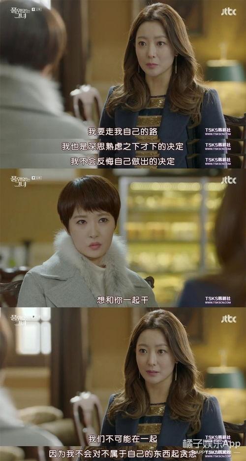 2017韩国电视剧在线观看,重温经典，探索热门剧集  第2张